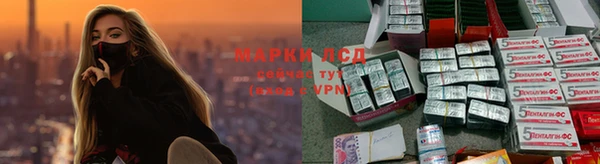 a pvp Алзамай