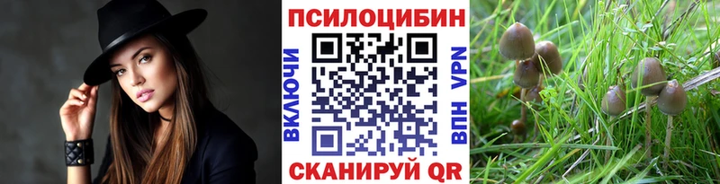 Псилоцибиновые грибы мицелий Соликамск