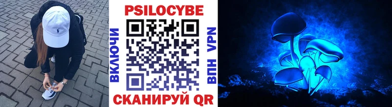 Псилоцибиновые грибы Psilocybe  Купить закладки  Соликамск 