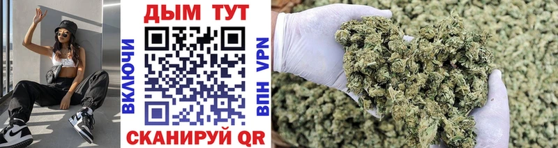 Купить  Соликамск  Шишки марихуана Amnesia 